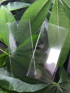 سامسونگ گلکسی نوت ۱۰