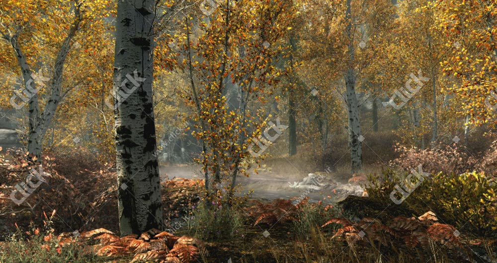 ۳۱۴۰۸۵۰-skyrim