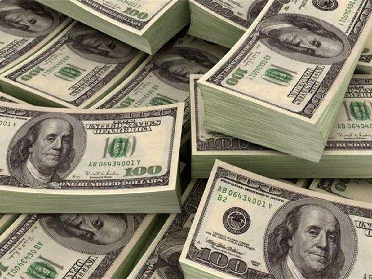 حذف دلار از اقتصاد ایران شدنی نیست