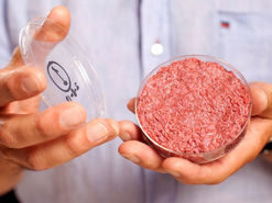 تلاش دانشمندان برای تولید گوشت مصنوعی در فضا