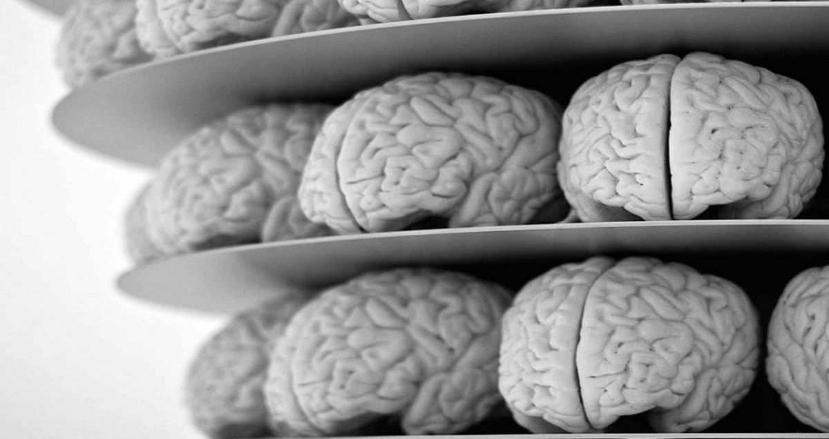 کاهش سرعت پیر شدن انسان توسط کشف جدید دانشمندان