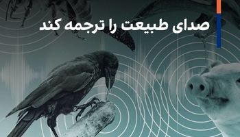 هوش مصنوعی مخاطب مستقیم حیوانات می شود