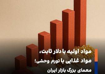 از دلار ترجیحی تا گرانی افسارگسیخته؛ آشفتگی در بازار مواد غذایی عمیق‌تر شد»